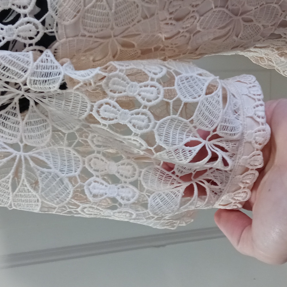 🆕️ 🍑Antonio Melani🍑 - Bruna Peachy Blossom Lace Button-Front Dress - Picture 10 of 16
